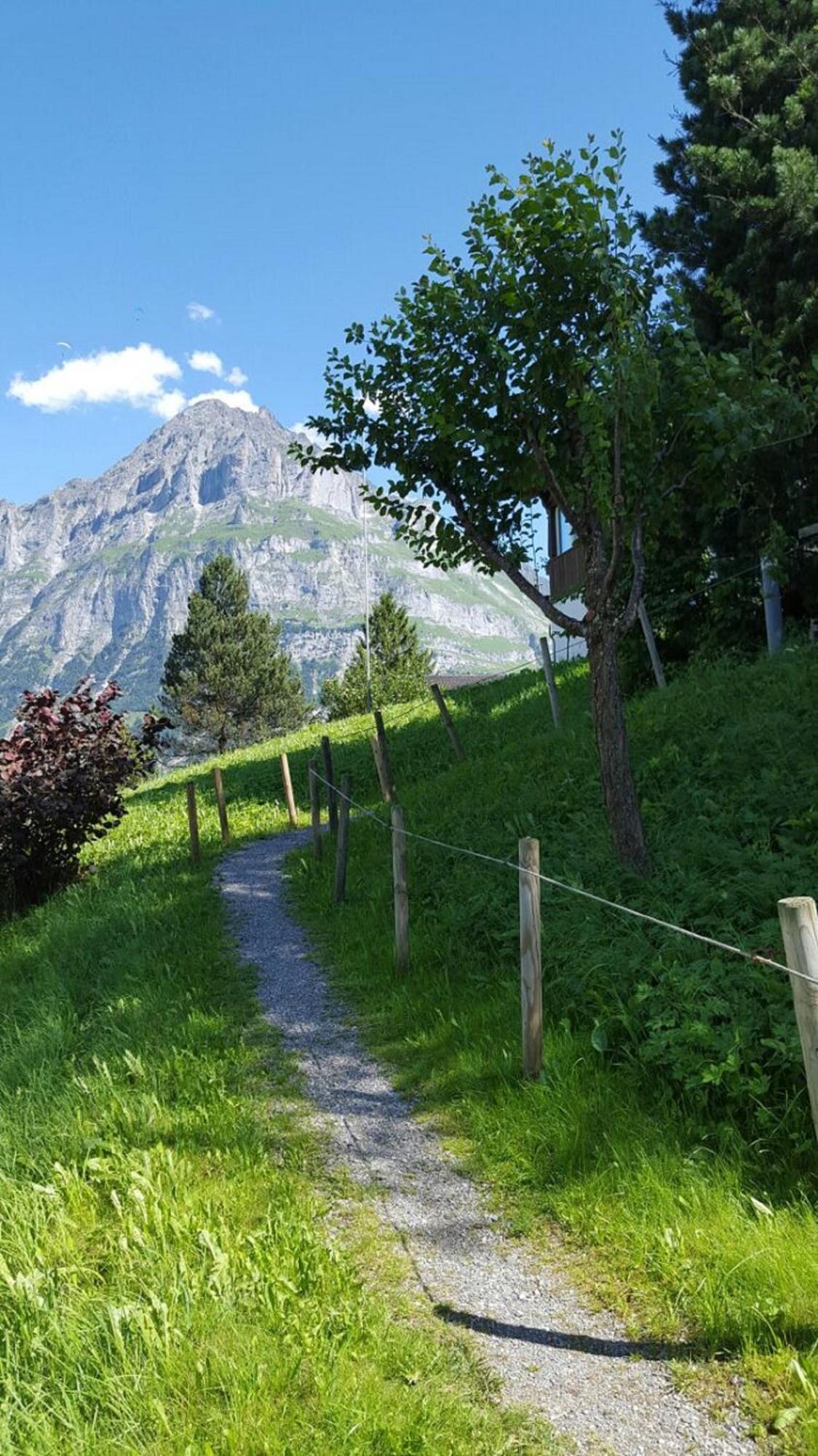Chalet Waergistal Grindelwald Esterno foto
