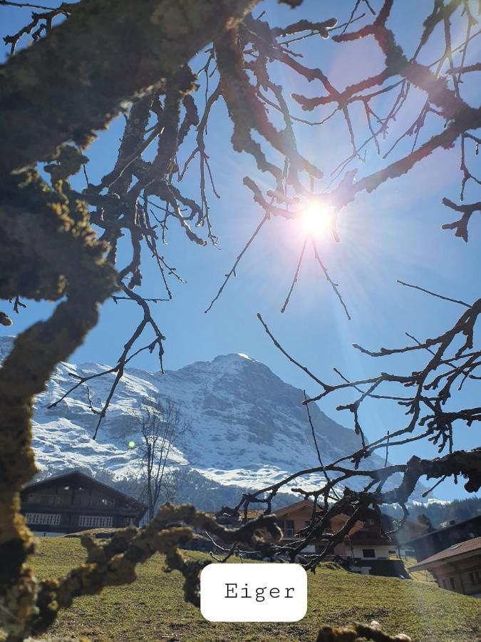 Chalet Waergistal Grindelwald Esterno foto