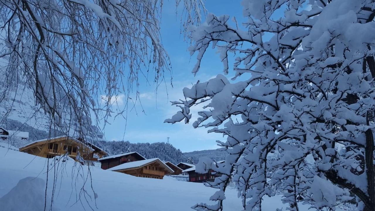 Chalet Waergistal Grindelwald Esterno foto