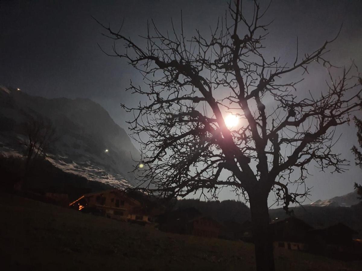 Chalet Waergistal Grindelwald Esterno foto