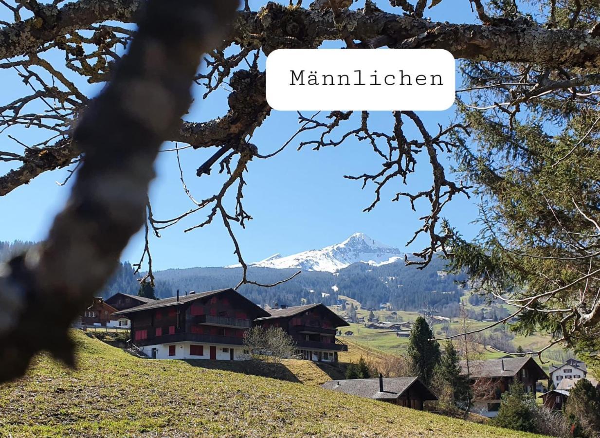 Chalet Waergistal Grindelwald Esterno foto